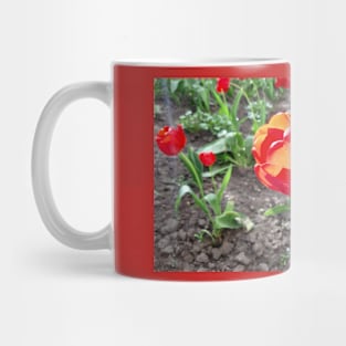 Red flowers tulips, spring nature, photo Mug